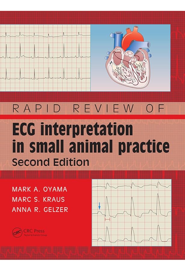 Cardiac Arrhythmias in Dogs and Cats: Mechanisms, diagnosis and