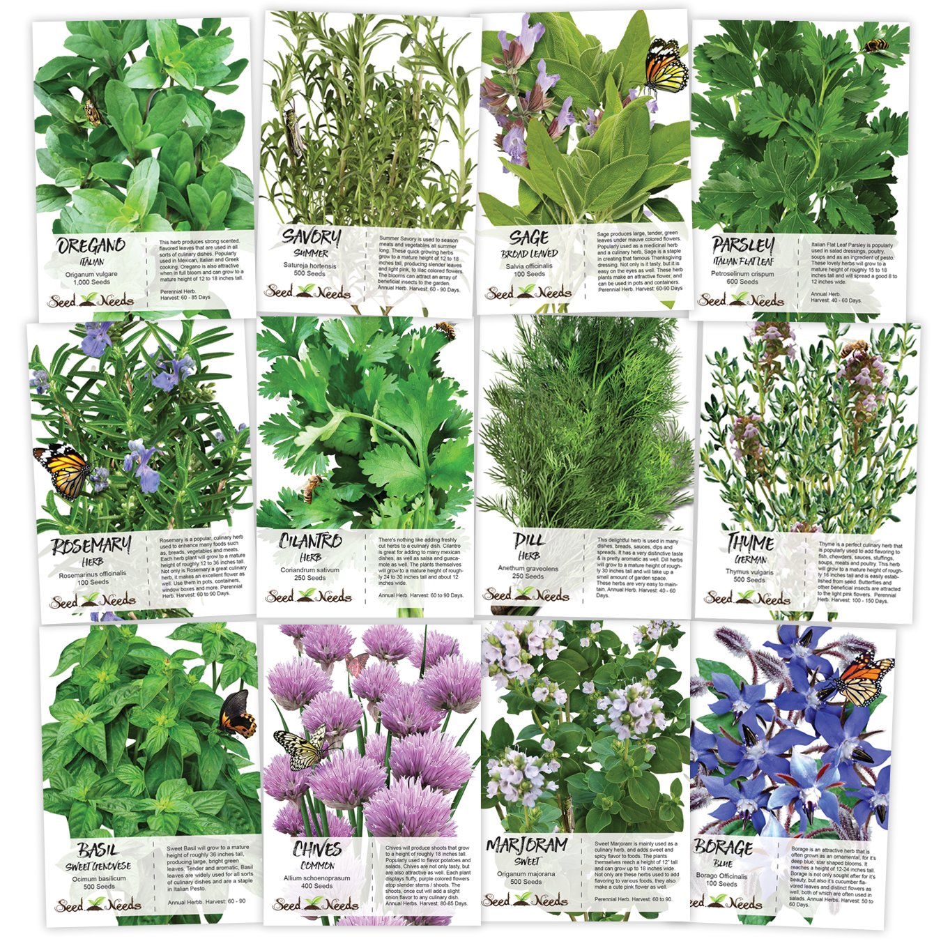 Buy Seed Needs, Culinary Herb Seed Packet Collection (12 Individual