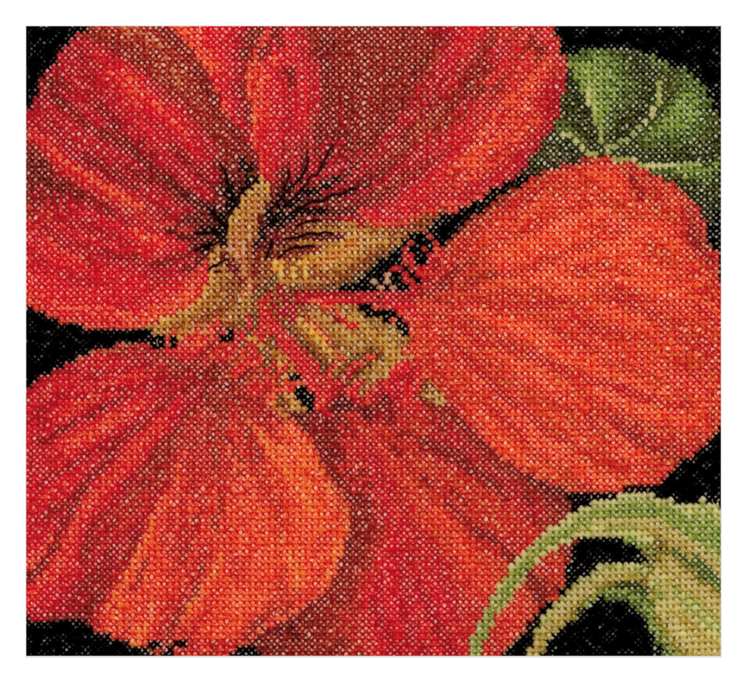 Thea GOUVERNEUR SINCE 1959 Thea Gouverneur Cross Stitch Kit 5.75"X5.5"-East Indian Cherry On Aida (18 Count)