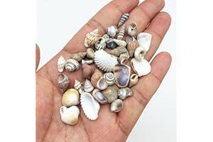 PEPPERLONELY Tiny Mix Sea Shells, Small Shells Mixed, 8 OZ Apprx. 1400+ PC Shells, 1/4 Inch ~ 5/8 Inch