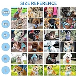 AIITLE Dog Harness and Leash Set