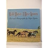 Wild Horses I Have Known