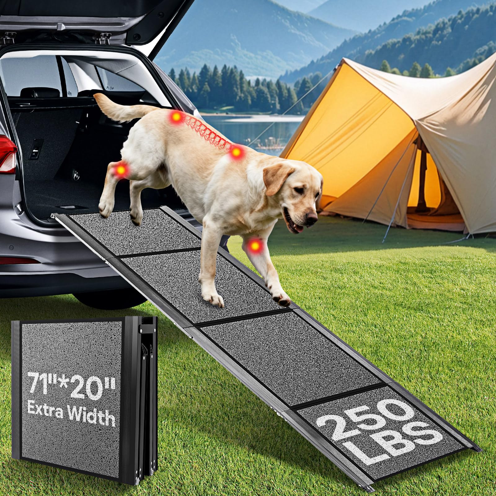 Photo 1 of ??'' & ??" Wide Dog Ramp for Large Dogs, Holds 250LBS & Gentle Slope for Joint Care - Dog Car Ramp with Upgrade Non-Slip Surface - Portable Folding Pet Ramps for Senior Pets Enter into SUV, Truck