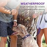 Black Rhino Comfort Collar Ultra Soft Neoprene Padded Dog Collar Large view 4