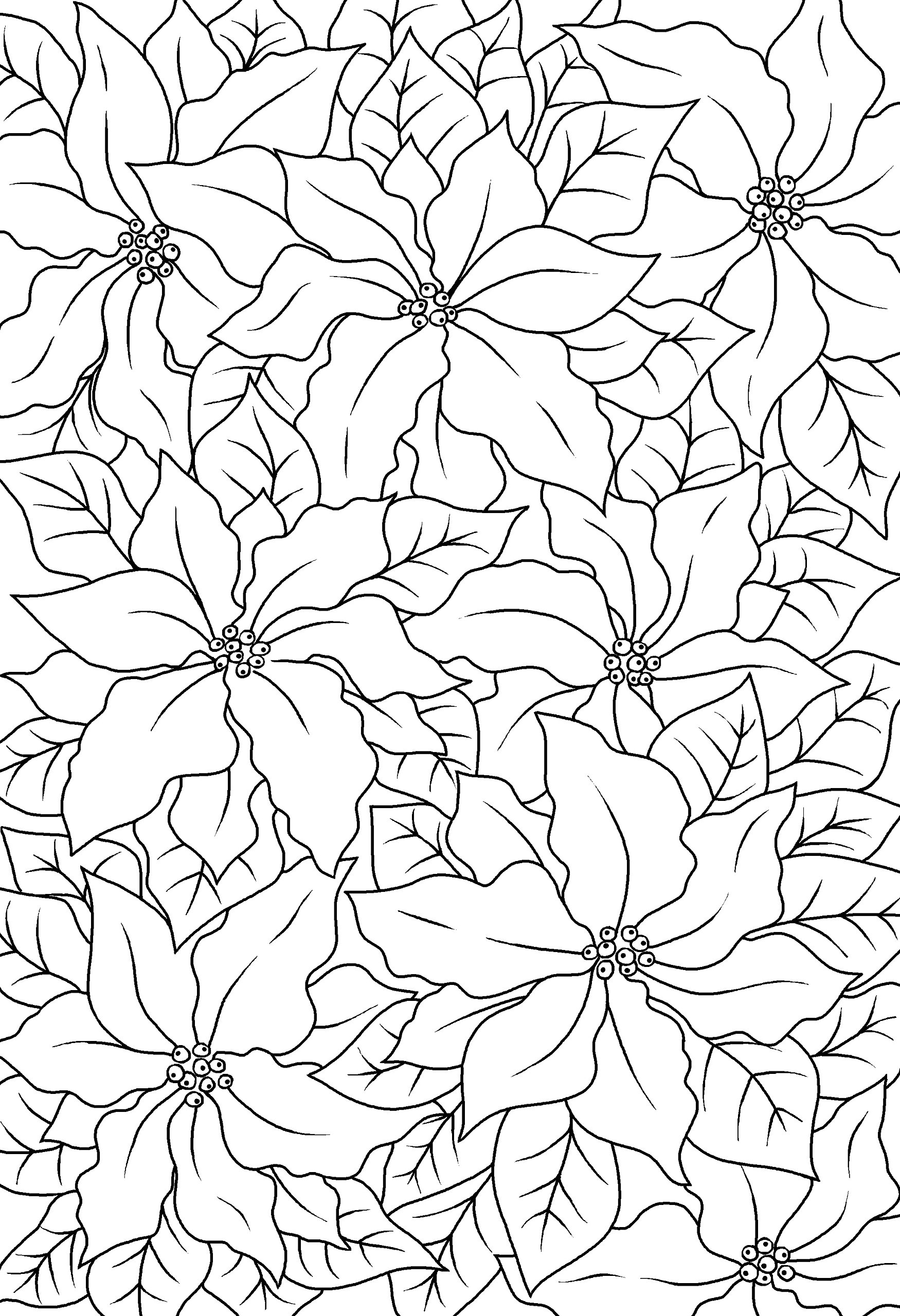 Jane Gill - Clear Magic Stamps - Poinsettia Lace