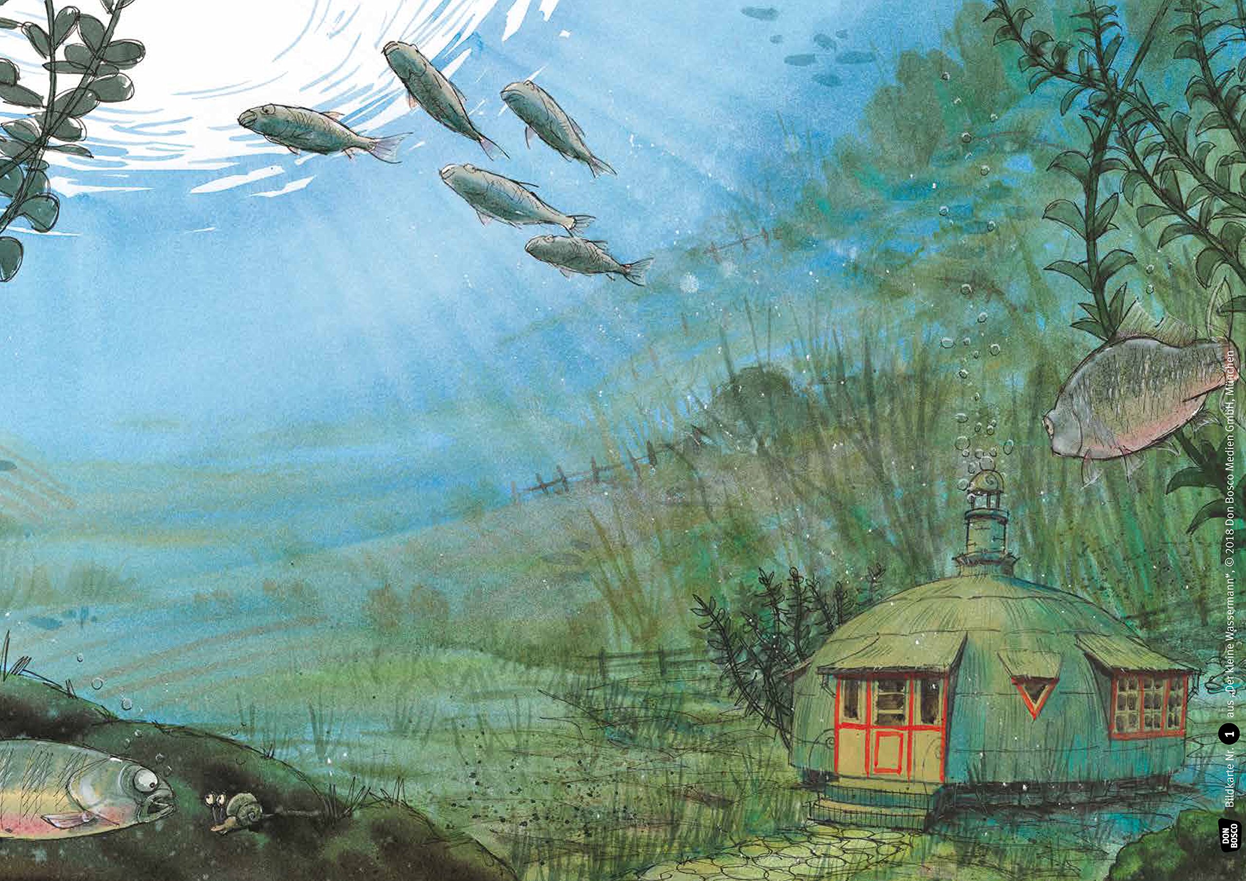 Der Kleine Wassermann Fruhling Im Muhlenweiher Kamishibai