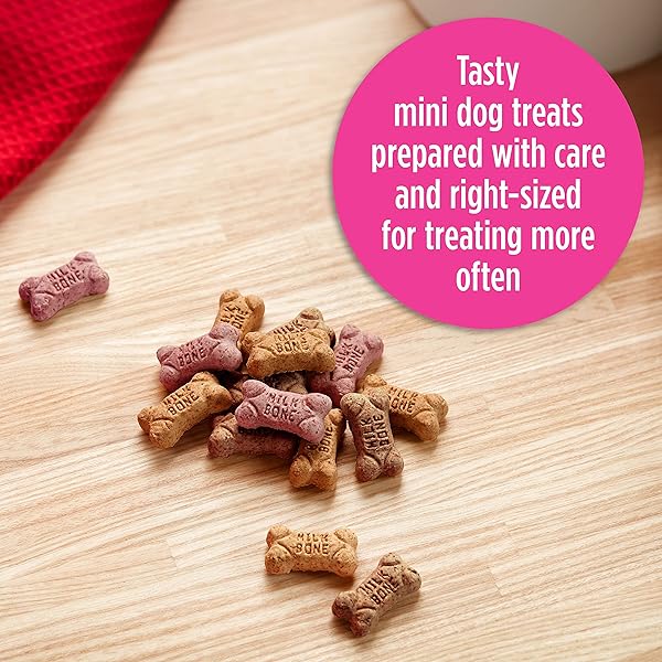 MILK-BONE FLAVOR SNACKS MINI’S DOG BISCUITS, FLAVORED CRUNCHY DOG TREATS, 36 OZ. CANISTER