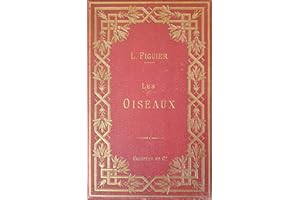 Les Oiseaux, (Éd.1882) (French Edition)
