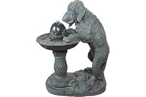Design Toscano Water Fountain - Dog's Refreshing Drink Garden Decor Dog Fountain - Outdoor Water Feature, Gothic Stone