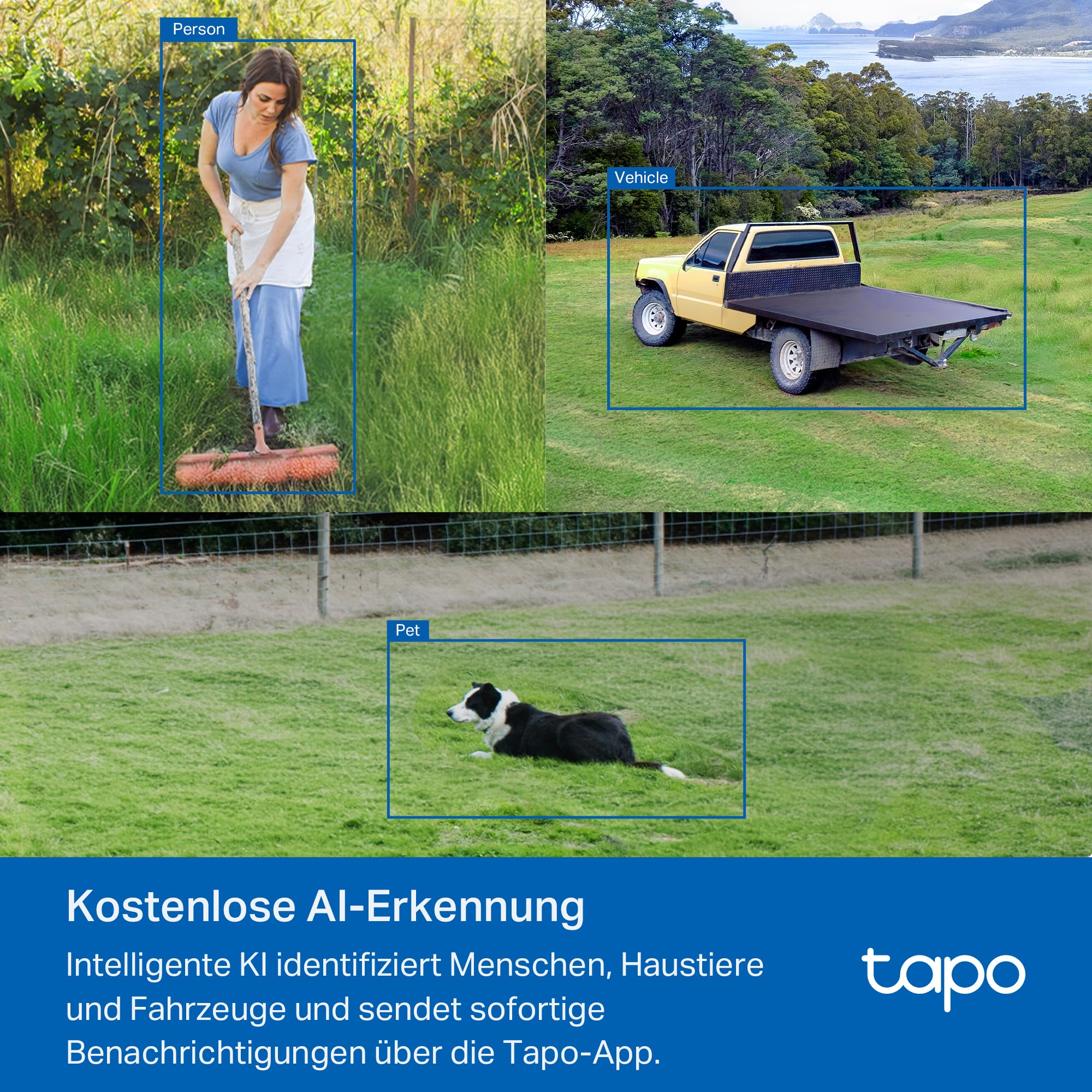 Tapo C501GW 360° 4G LTE Überwachungskamera mit SIM-Kartenslot, kein WLAN erforderlich, Starlight farbige Nachtsicht, AI-Erkennung, DC/PoE-Stromversorgung, IP66, lokaler und Cloud-Speicher, kein WLAN 7