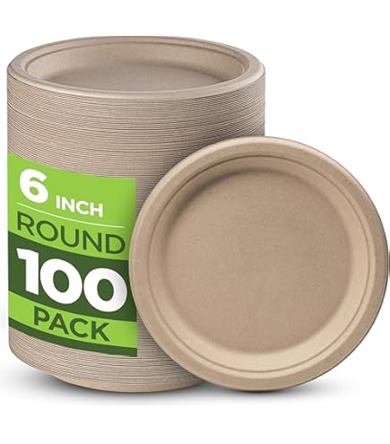 Lot De 150 Assiettes Jetables Biodégradables En Carton 100