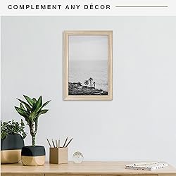 MCS Studio Gallery Classic 12x18 Picture Frame