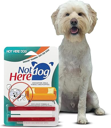 best dog urine deterrent