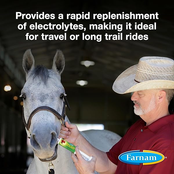 FARNAM APPLE ELITE ELECTROLYTE PASTE SUPPLEMENT FOR HORSES, REPLACES VITAL MINERALS, ENCOURAGES HYDRATION, NO ADDED SUGAR, 60 CC SYRINGE