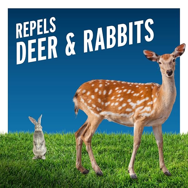 LIQUID FENCE DEER AND RABBIT REPELLENT READY-TO-USE 1 GALLON, APPLY YEAR-ROUND, 2 PACK