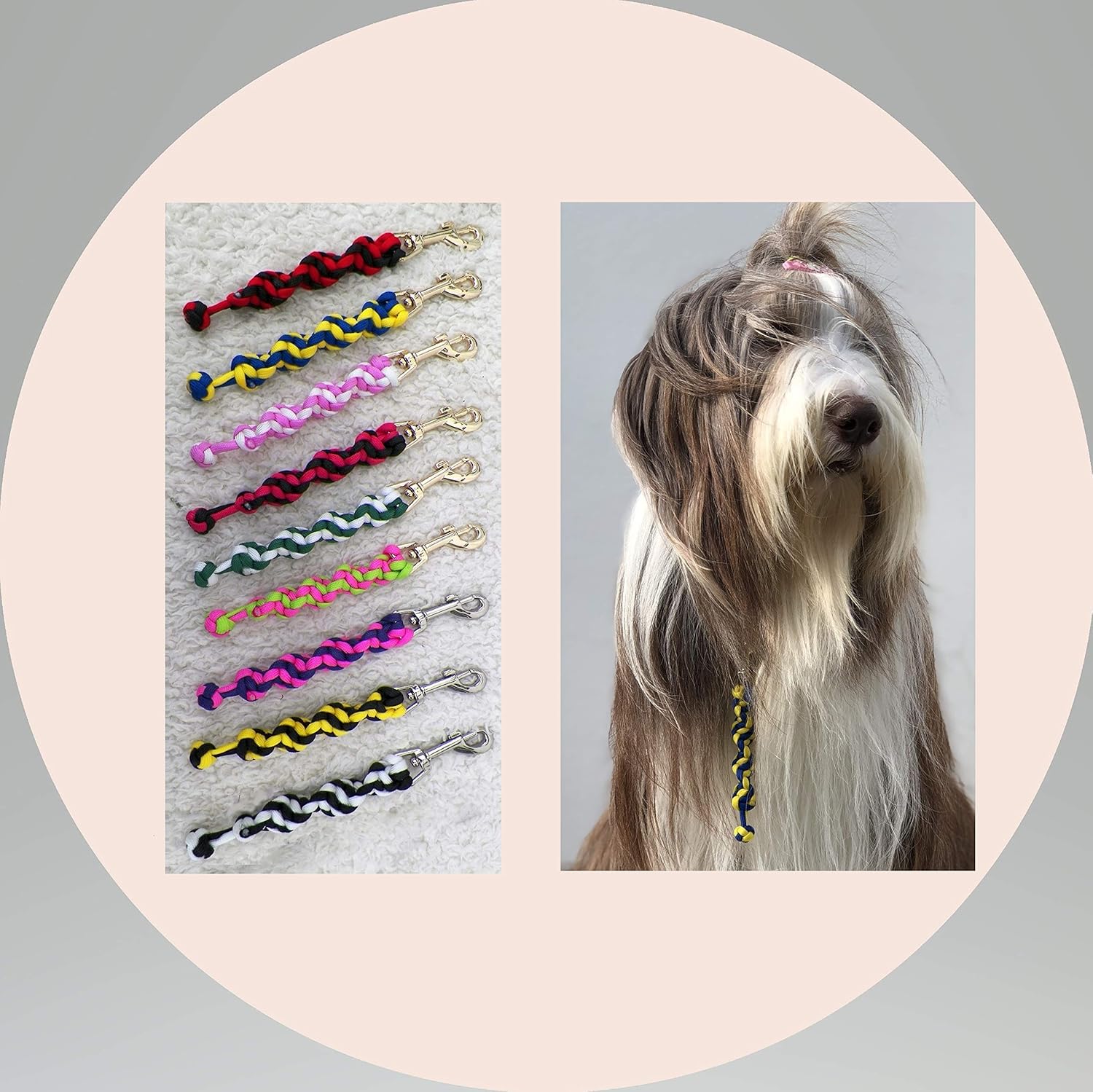 off lead dog training