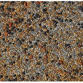 No-Till Cover Crop 13-Seed Mix (1 lb. Bag): [50% Clovers Plus Fenugreek, Vetch, Flax, Cowpeas, Buckwheat, Forage Peas, Millet, Lentils, Crimson Clover, Sweet Yellow, White Clover, Medium Red Clover]
