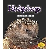Hedgehogs: Nocturnal Foragers (Night Safari)