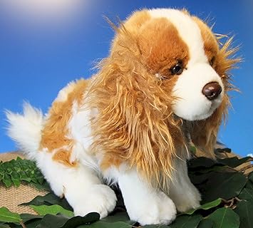 épagneul Cocker De Marron Clairblanc Aussi Charmant Chien