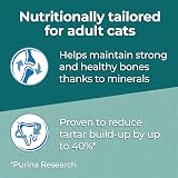 Purina One DualNature Salmon Dry Cat Food 650g Pack of 8 view 2