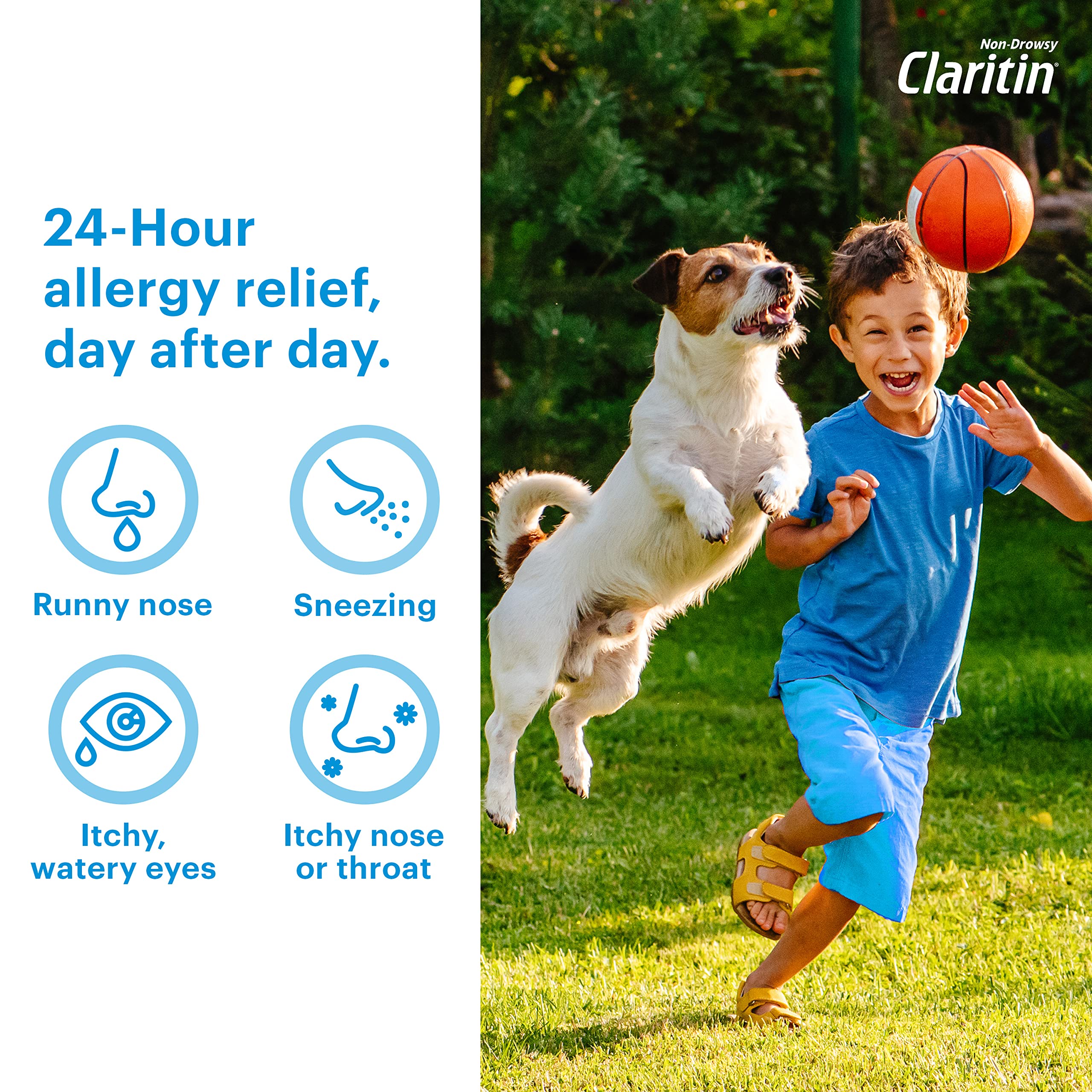 Children's Claritin Chewables 24 HR Children Allergy Medicine, Grape, 30 Count