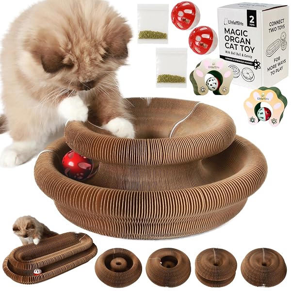 2-PACK ACCORDION CAT TOY SCRATCHER – CAT TOYS FOR INDOOR CATS – EXPANDABLE CAT CARDBOARD SCRATCHER, MAGNETIC REVERSIBLE INTERACTIVE CAT TOY | LITTLEMITTS