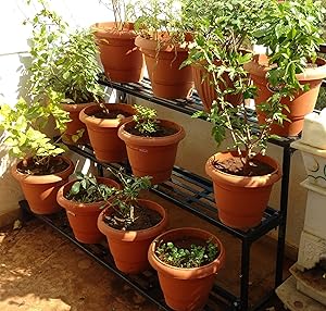 Akura Gardening Stand (Black Color, Steel Tubes - 20 X 20mm; Size- 1000mm X 900mm X 800mm)