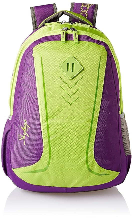 Skybags 25 Ltrs Purple Casual Backpack (BPLEO5PPL)