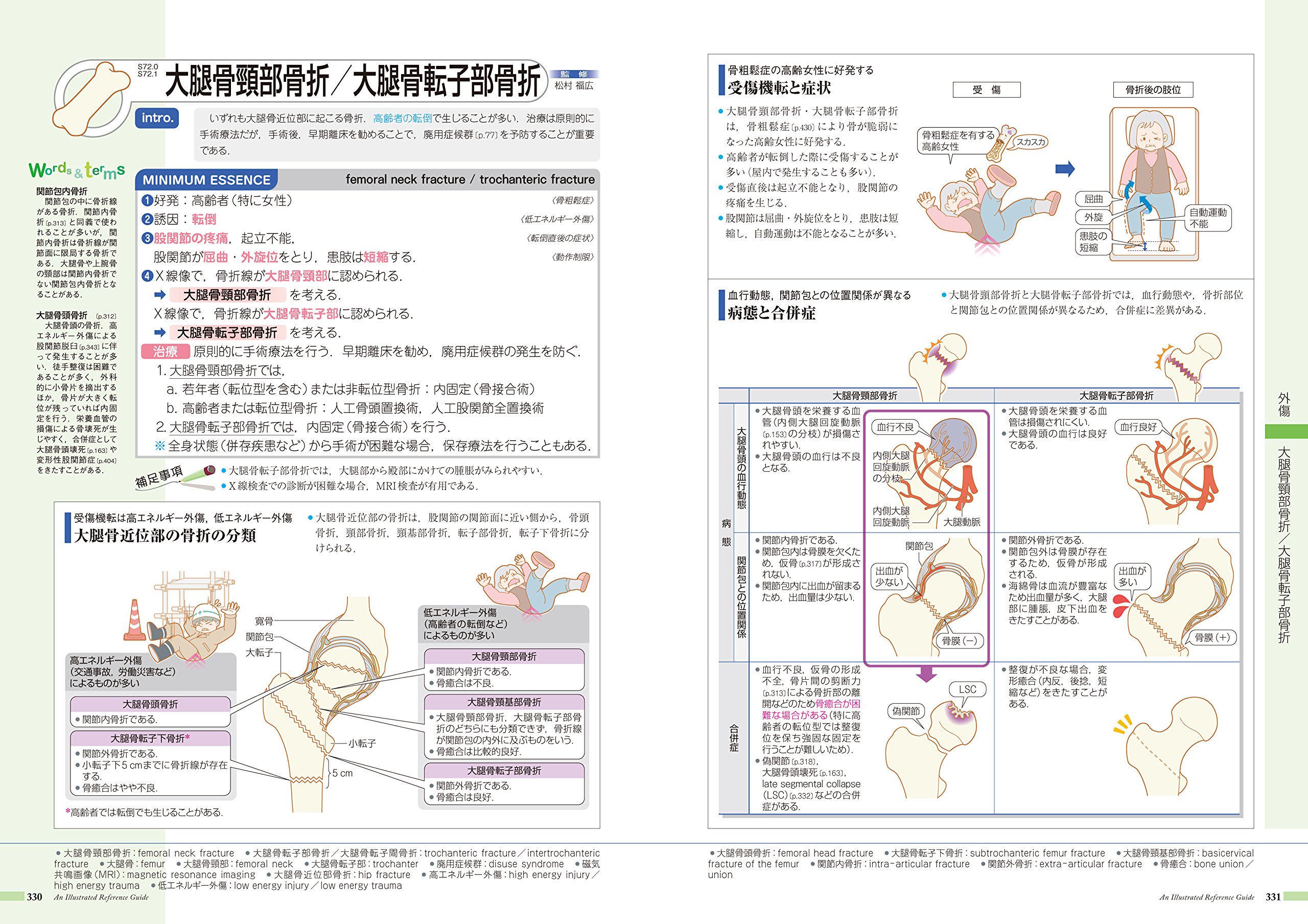完成品 病気が見える 運動器 整形外科 限定色 本 音楽 ゲーム 本 Roe Solca Ec