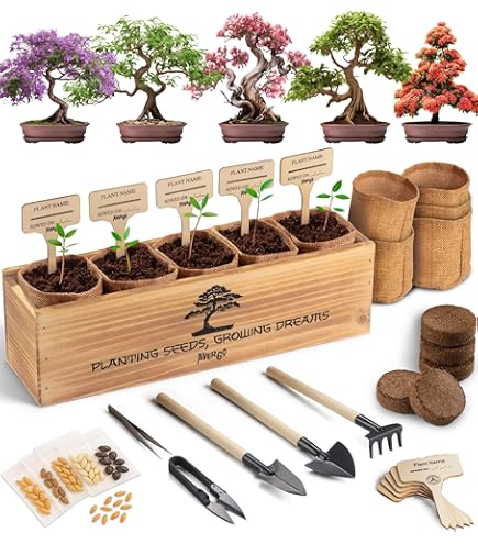 almondtree様 リクエスト 8点 まとめ商品 Amazon.com : New Fresh 60pcs Almond Tree Seeds Generic