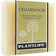 Plantlife Cedarwood Bar Soap - Moisturizing and Soothing Soap for Your Skin - Hand Crafted Using Plant-Based Ingredients - Made in California 4oz Bar