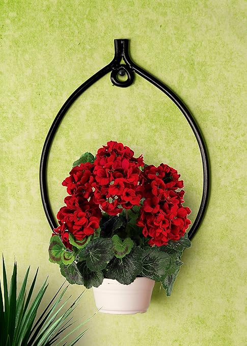 Devasmita Wall Mounted Powder Coated Iron Plant Stand Wall Planters for Balcony for Diwali Gift or Decoration (Ovel Shape)