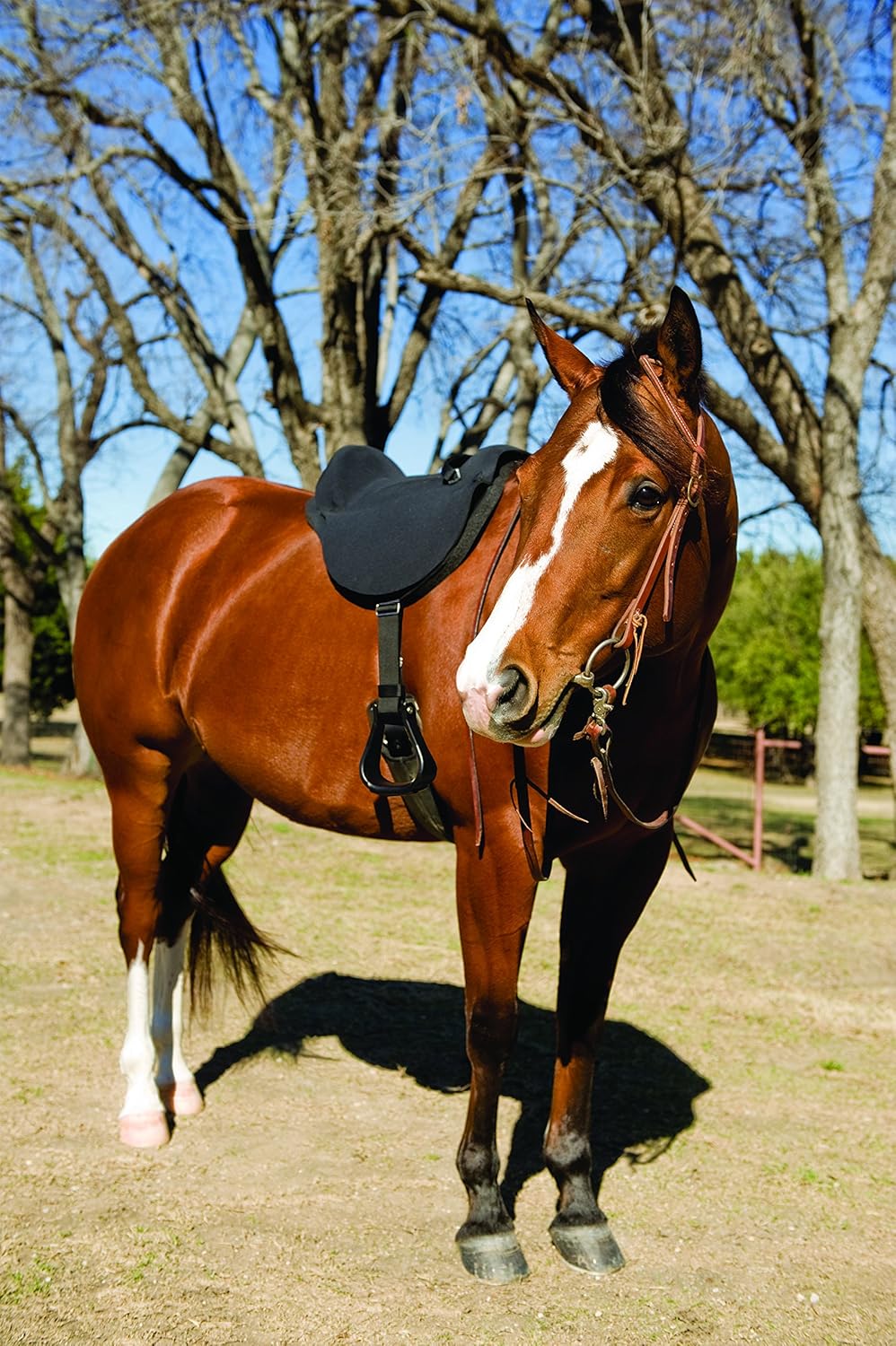 Amazon Com Mustang Soft Ride Saddle 14in 15in Horse Saddle Pads Sports Outdoors