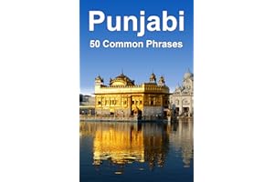 Punjabi: 50 Common Phrases