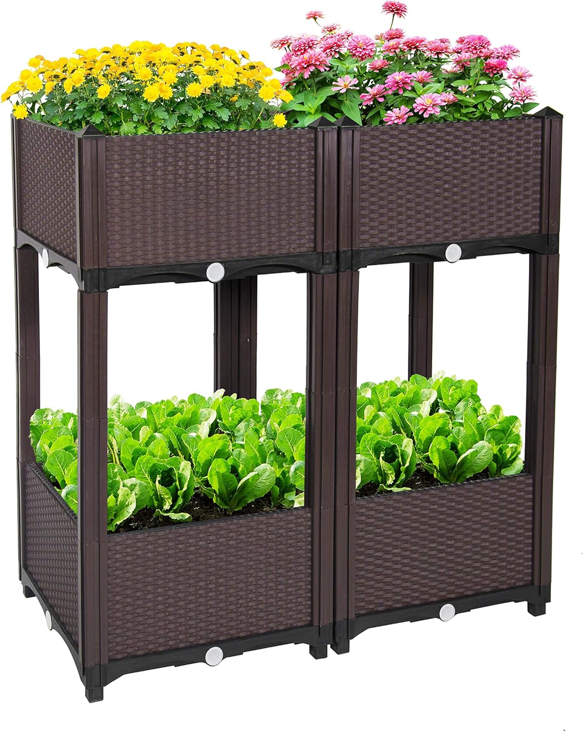 Best Raised Garden Bed With Trellis