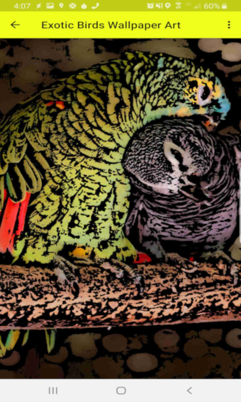 Exotic Birds Wallpaper Art (HD)