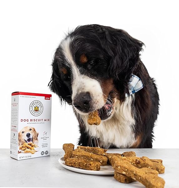 KING ARTHUR DOG BISCUIT MIX, PUMPKIN & APPLE, HOMEMADE DOG TREATS, 12OZ