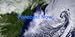 Forecast Now+