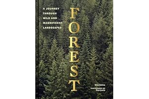 Forest: (Tree Photography Book, Nature and World Photo Book)