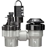 Rain Bird DASASVF100 Professional Anti-Siphon Valve, 1"
