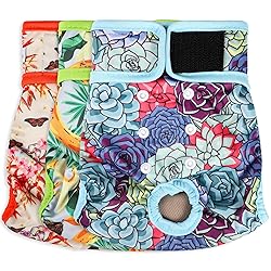 Grecle Washable Female Dog Diapers - Premium