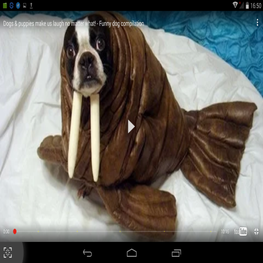 Funny Videos 30