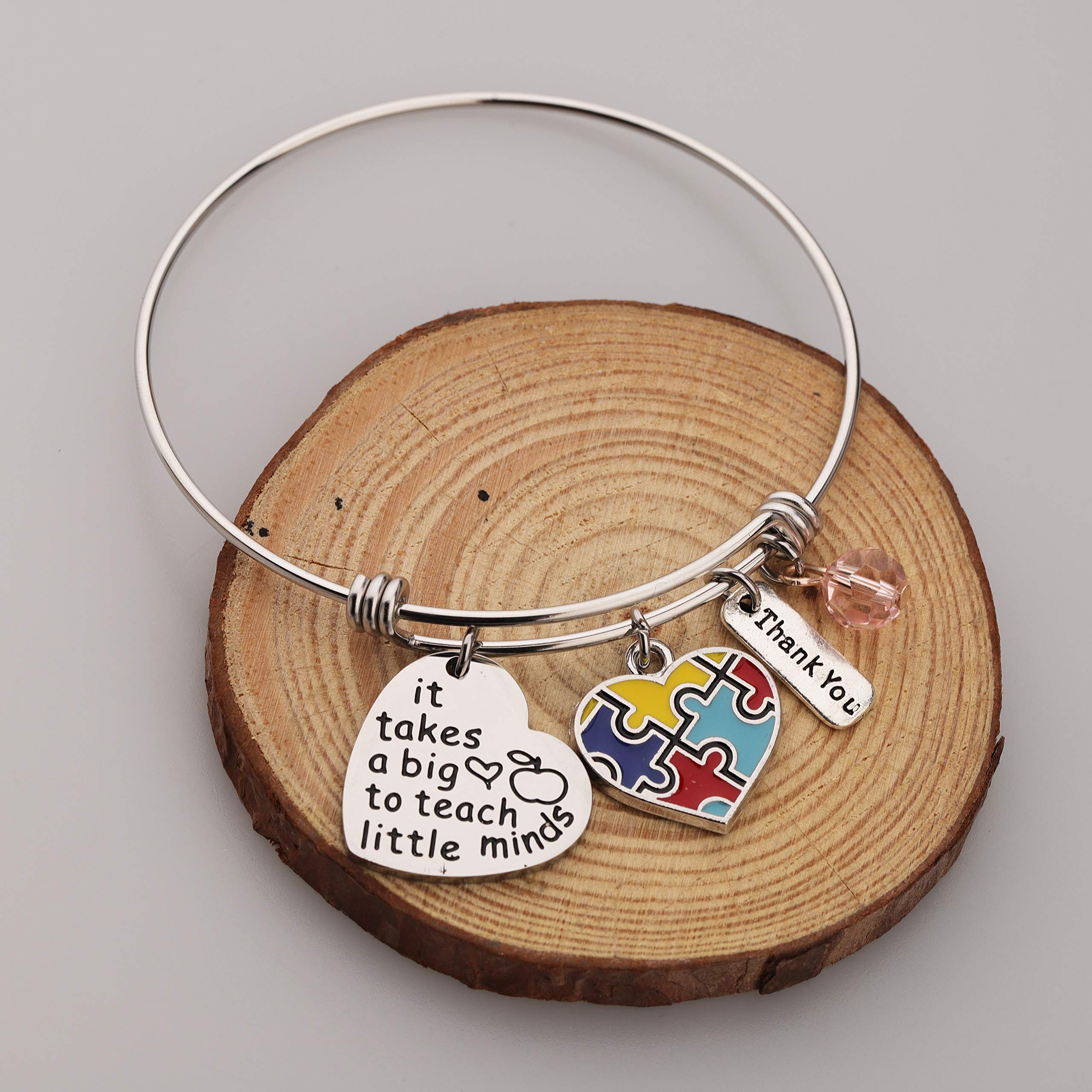 Autism Teacher Gift Sped Teachers Gift Autism Awareness Gift Ppcd