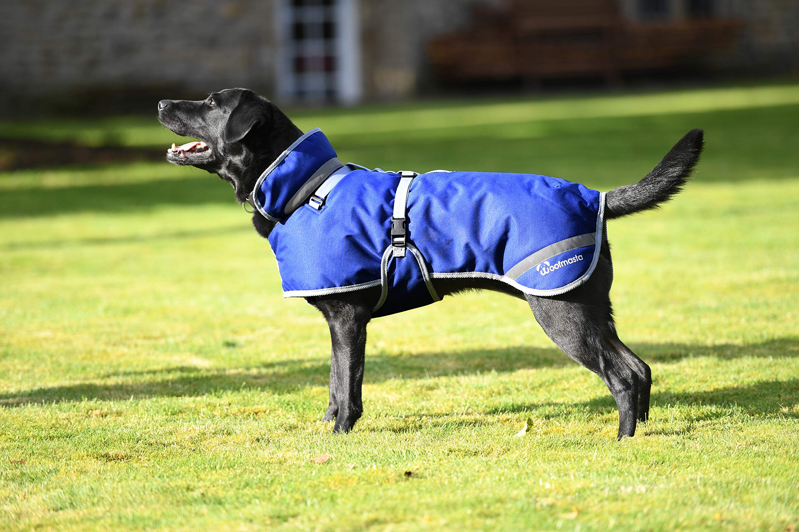 Woofmasta Deluxe Dog Coat, 25 cm Size, Navy Blue