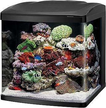 Coralife Biocube 16-Gallon Nano Reef Tank