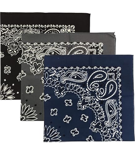 TheBUTON/HAVE A HANK BANDANA/BROWN/座布団 Amazon.com: HAV-A-Hank Paisley Bandanna 22
