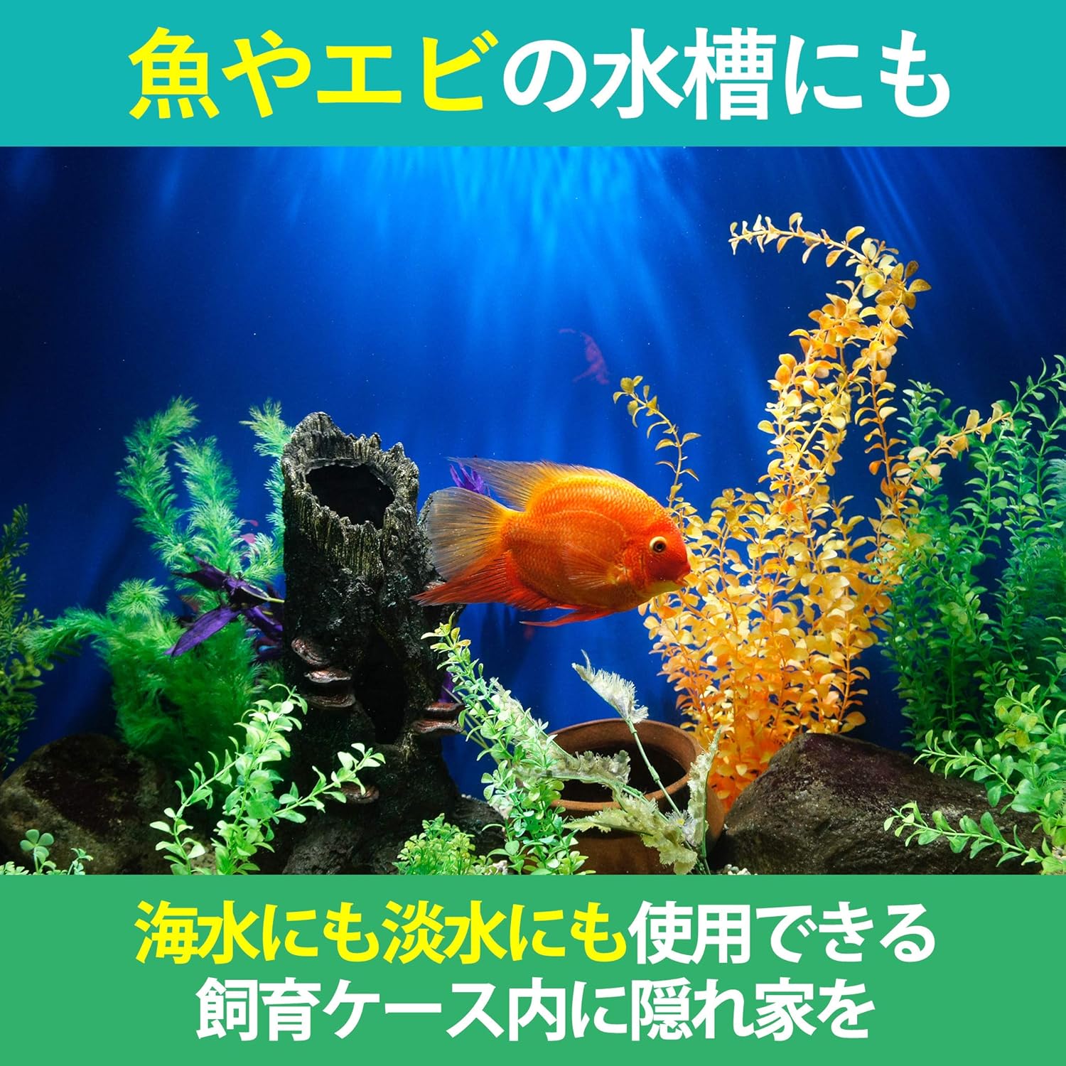 Amazon Hamilo 爬虫類 テラリウム 水槽 植物 魚 アクアリウム 淡水 海水 2点セット ｈａｍｉｌｏ 木 通販