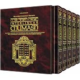 Interlinear Chumash Schottenstein Edition Vols. 1-5 [Box Set]: Genesis, Exodus, Leviticus, Numbers, Deuteronomy [Box set] (Hardcover)