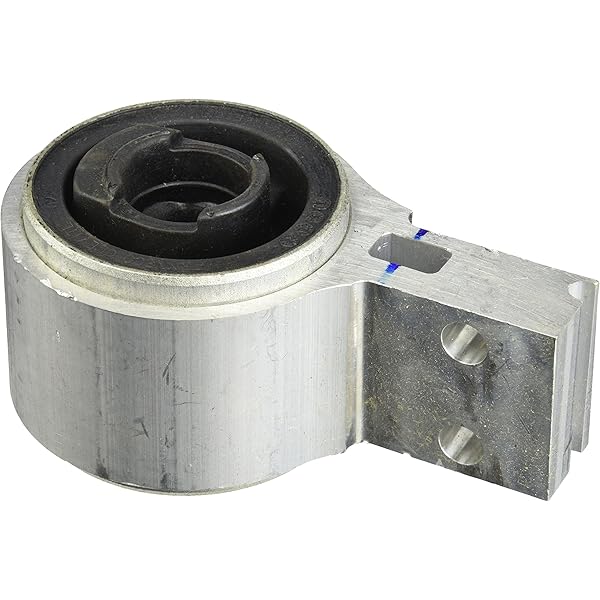 Amazon.com: MOOG K200779 Suspension Control Arm Bushing for Ford  