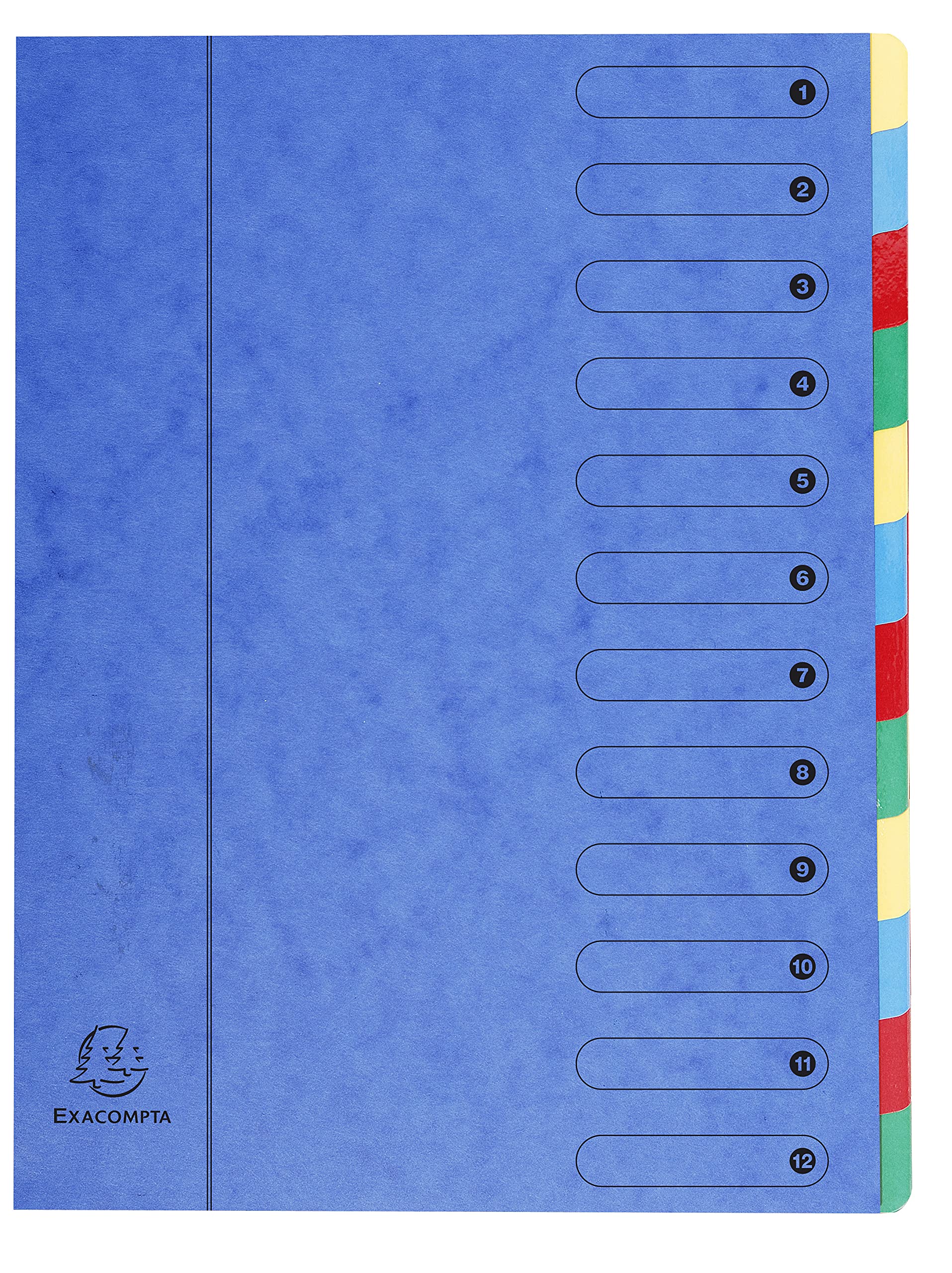 Exacompta - Ref 5112E - Harmonika Multipart File - 24.5 x 32cm in Size, Suitable for A4 Documents, 12 Multi-Coloured Tabbed Sections, Premium Pressboard Cover - Blue Cover